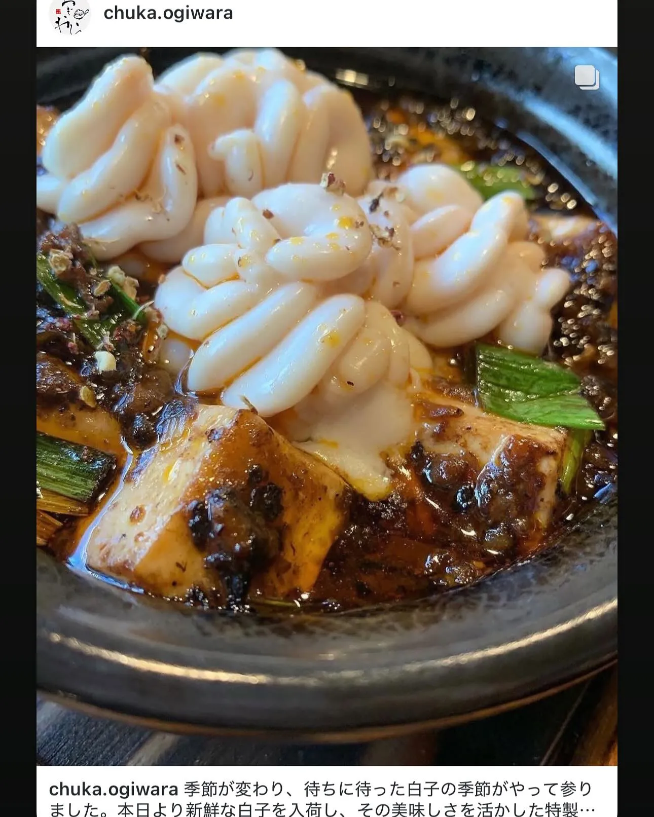 いつもご覧いただき誠にありがとうございます。