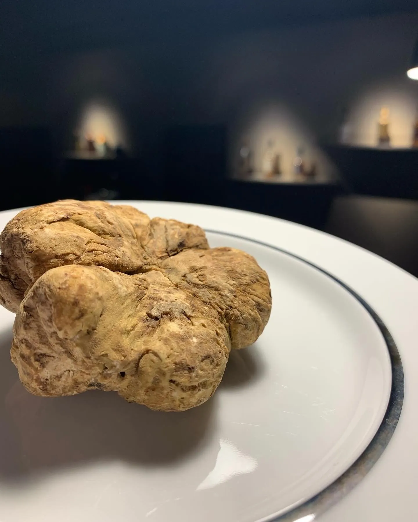 いつもご覧いただき誠にありがとうございます。