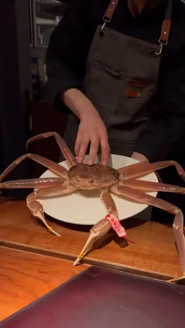 いつもご覧いただき誠にありがとうございます。